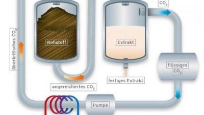 Is CO₂ Extraction Still Viable in 2024? Market Trends & ROI