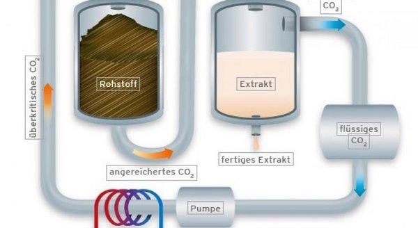 Is CO₂ Extraction Still Viable in 2024? Market Trends & ROI
