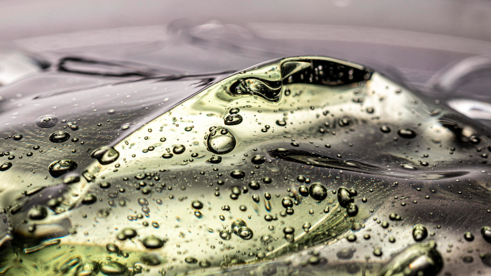 Plant Chemistry & Biology