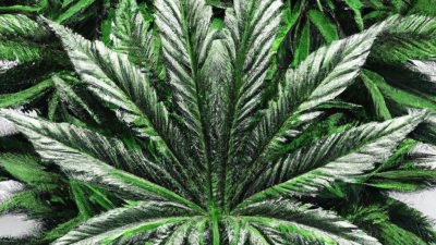 Save Thousands: Upgrading to Low-Power Extraction Gear