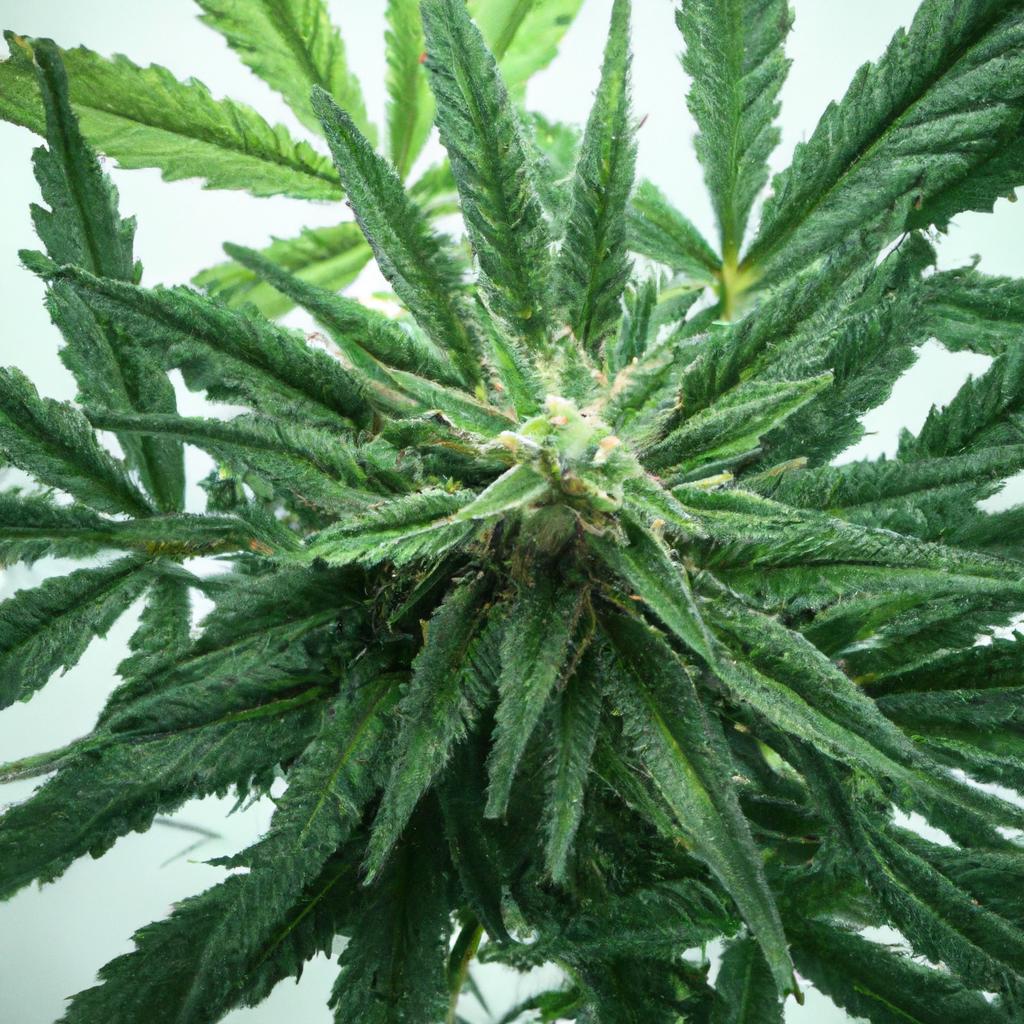 Save Thousands: Upgrading to low-Power Extraction⁢ Gear