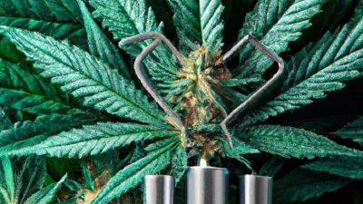 Best Inline Filters for Small-Scale Extractors