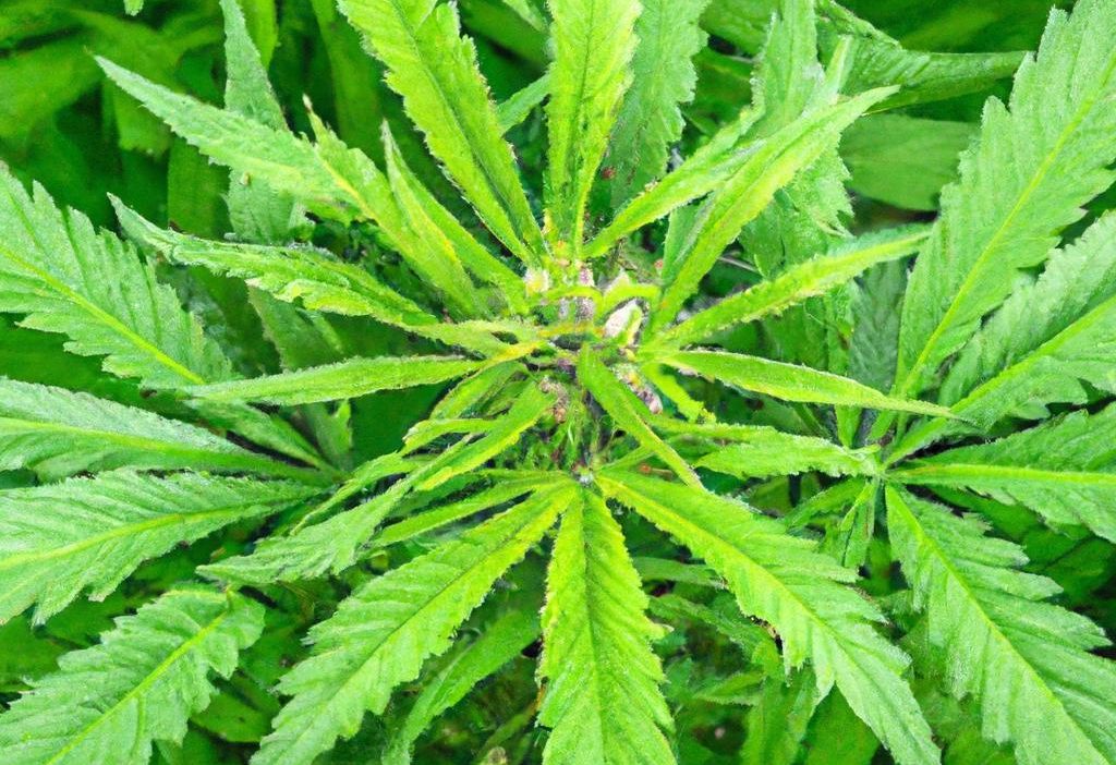 How to Train Staff to Prevent Costly Extraction Errors