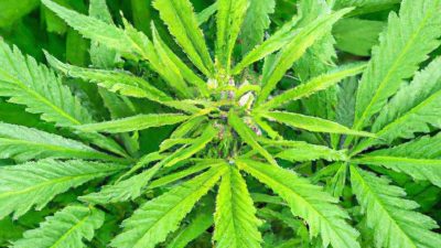 How to Train Staff to Prevent Costly Extraction Errors