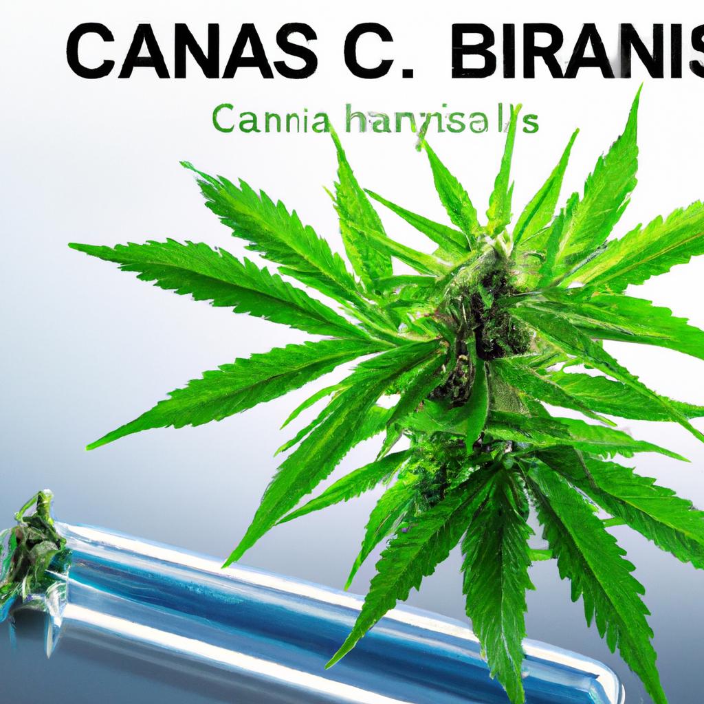 GC⁢ vs HPLC for Cannabis: Pros and Cons