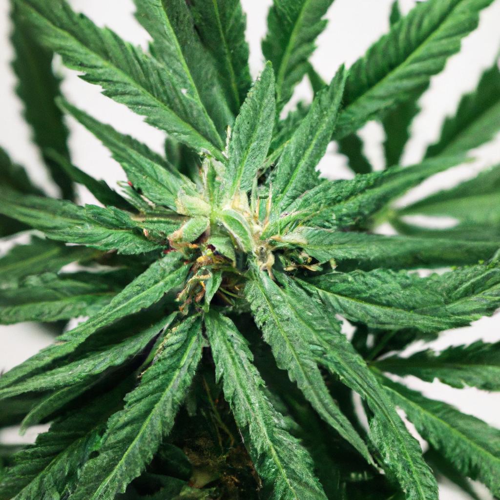 How to Train Staff to Prevent Costly‍ Extraction ‍Errors