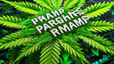 Programming PLCs for Hands-Free Cannabis Workflows