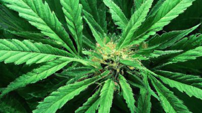 Mistakes That Kill Yield and How to Avoid Them