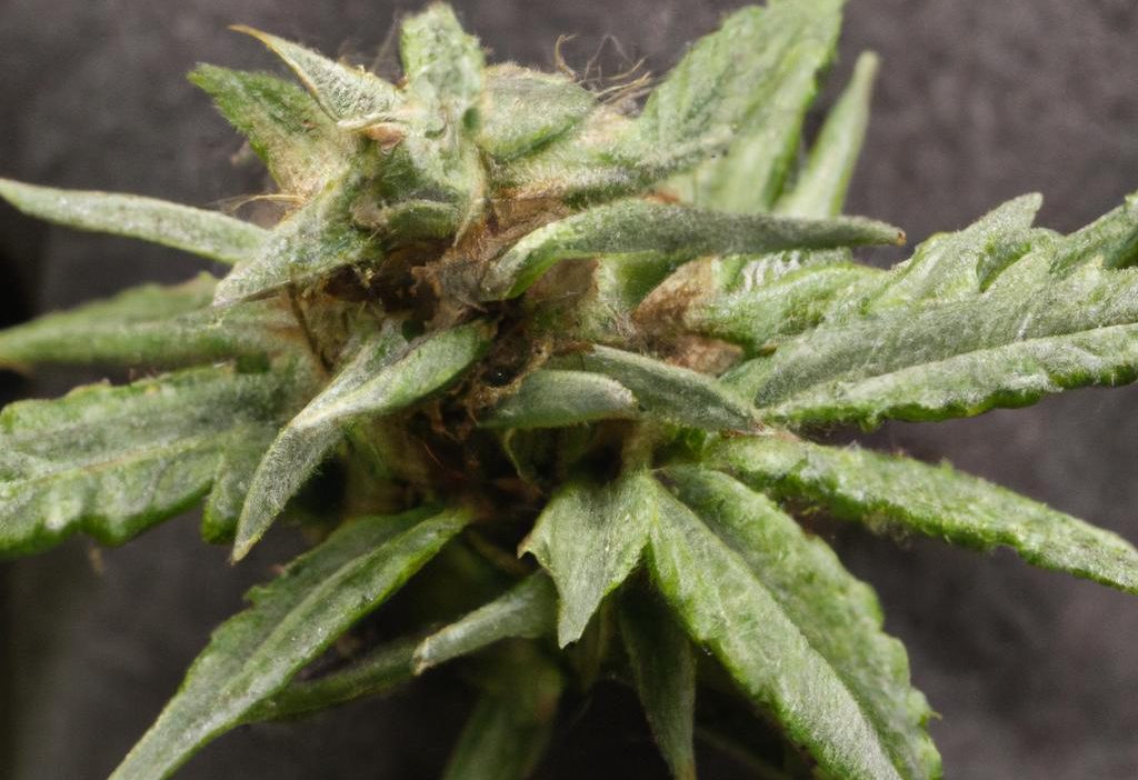 Residual Solvent Testing: What Labs Must Know in 2024