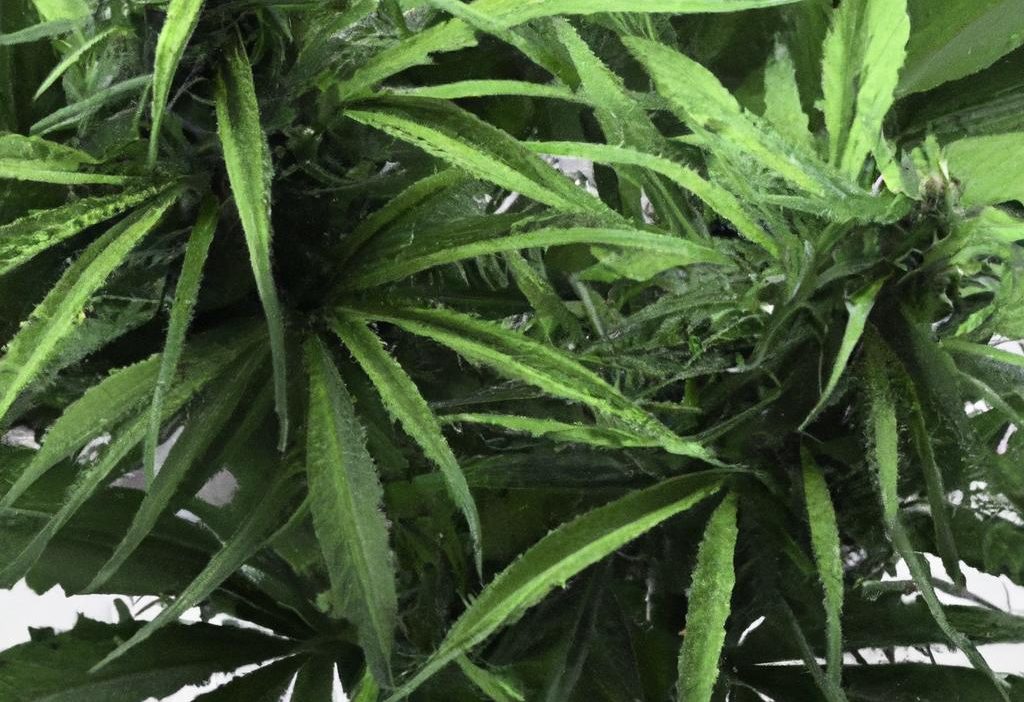 How 10L vs 1000L Systems Change Your Production Strategy