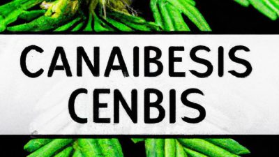 Cannabis Testing 101: Potency, Terpenes, and Contaminants