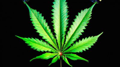 How to Train Staff to Operate GC Equipment