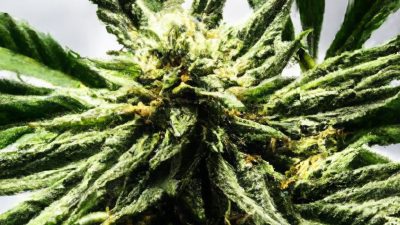 Output Benchmarks: What to Expect at Each Size Tier