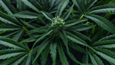 Reducing Contamination via Hands-Free Design