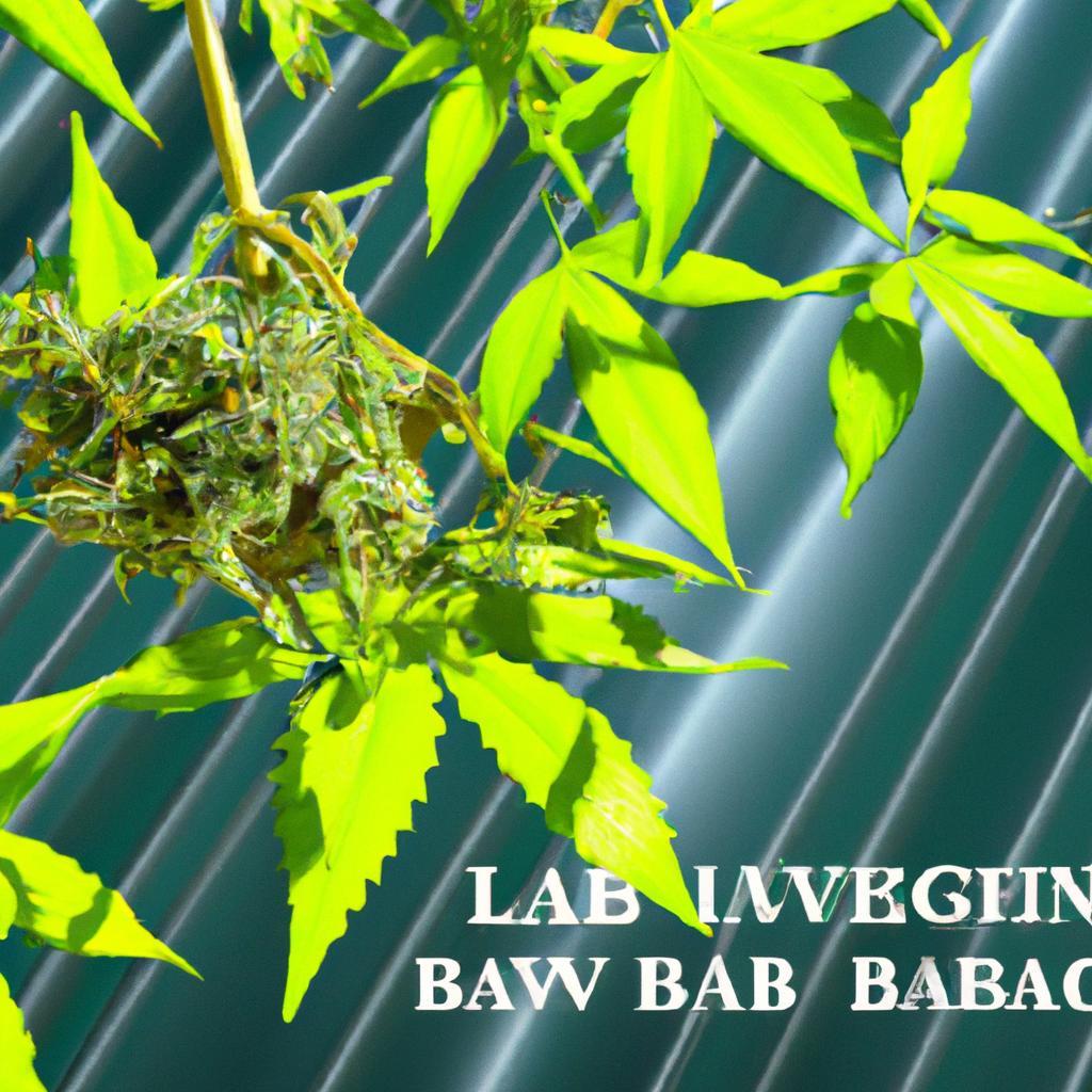 Labor Cost Savings with Hands-Free Extraction Lines