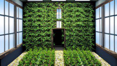 How to Build a One-Operator Cannabis Extraction Room